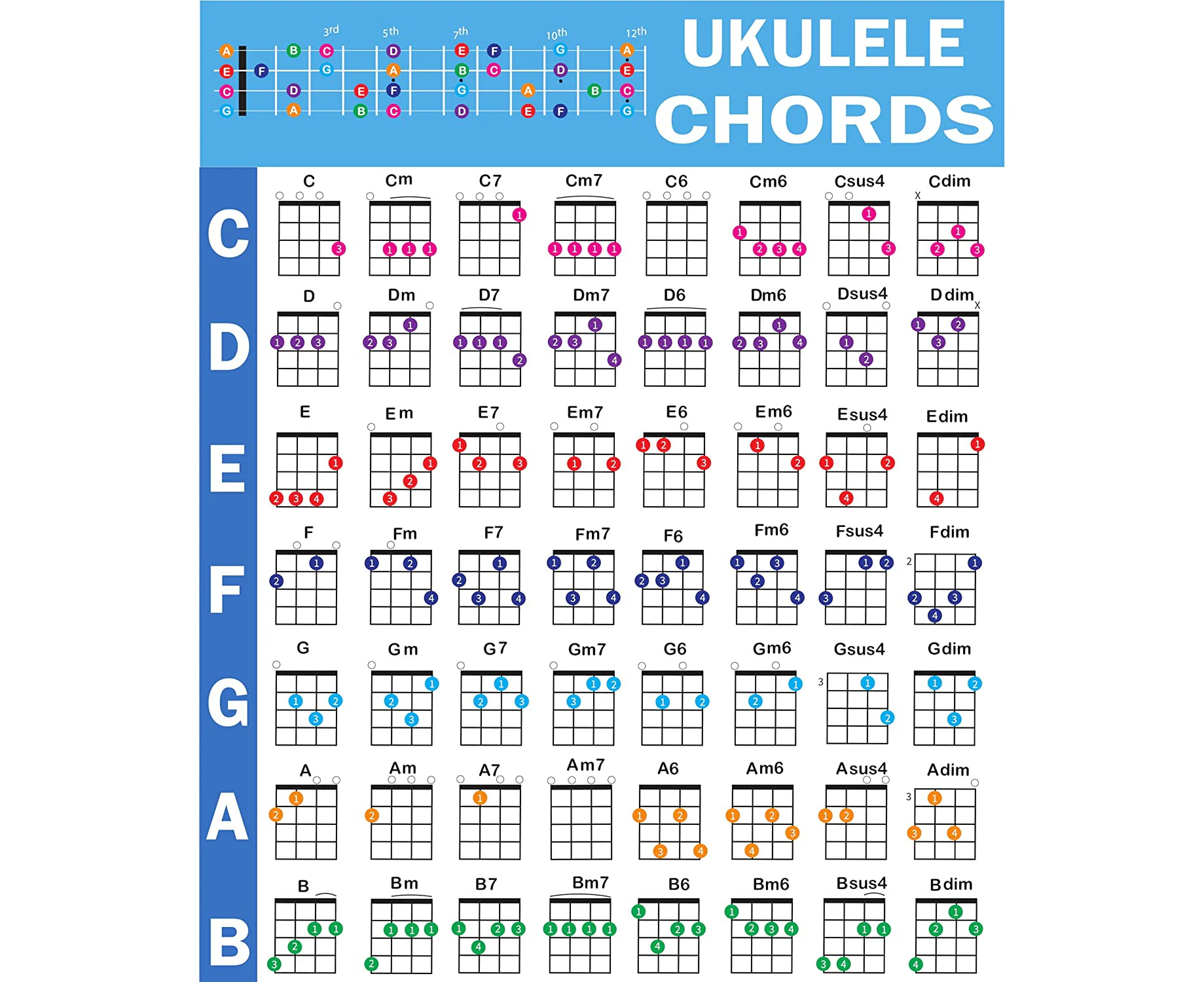 Ukulele Chords Poster, An Educational Reference guide for Ukulele Players and Teachers, Printed on Waterproof, Non-Tearing, Polypropylene Paper, Size: 24”x