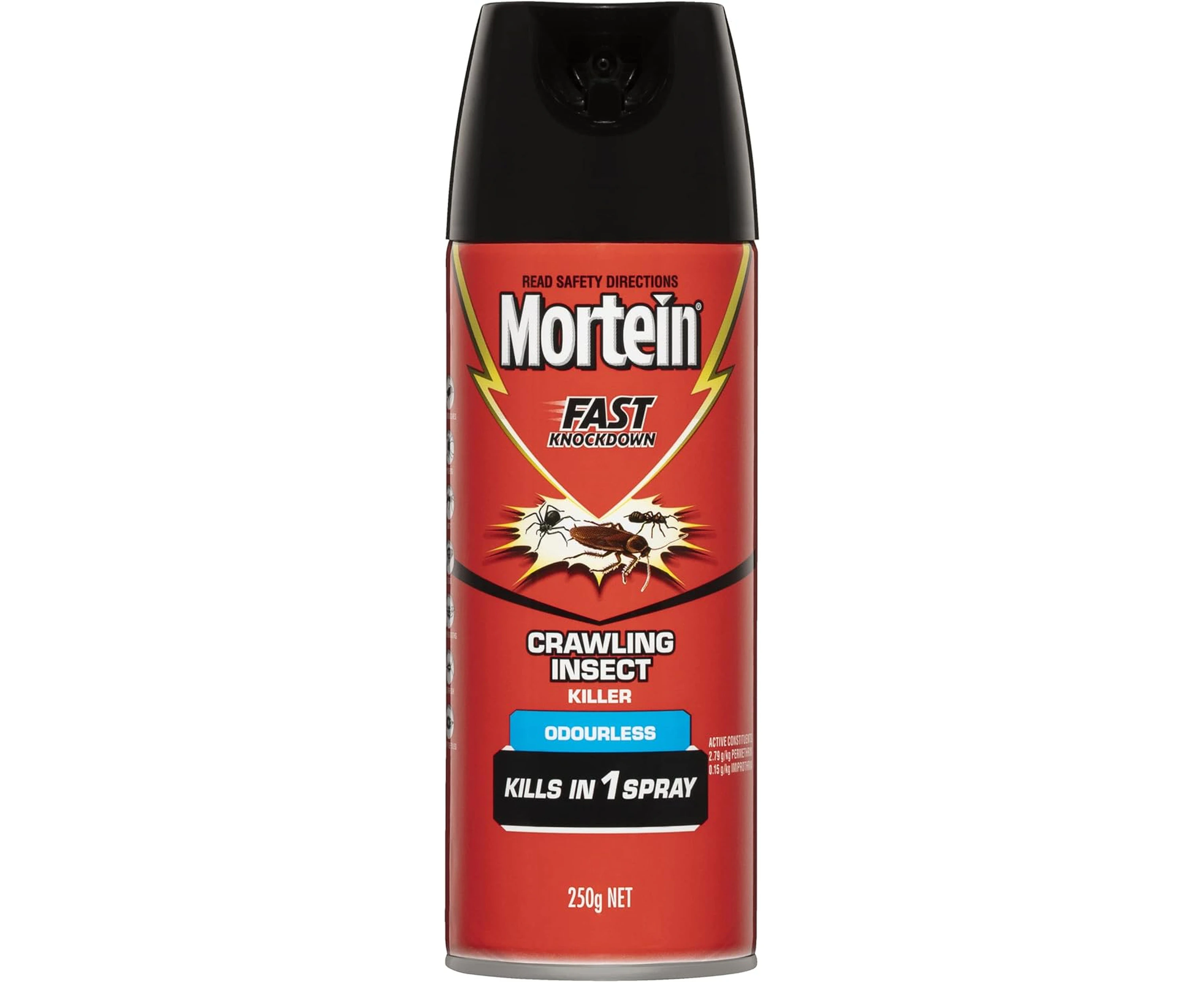 Mortein Fast Knockdown Odourless Surface Spray Crawling Insect Killer 250g