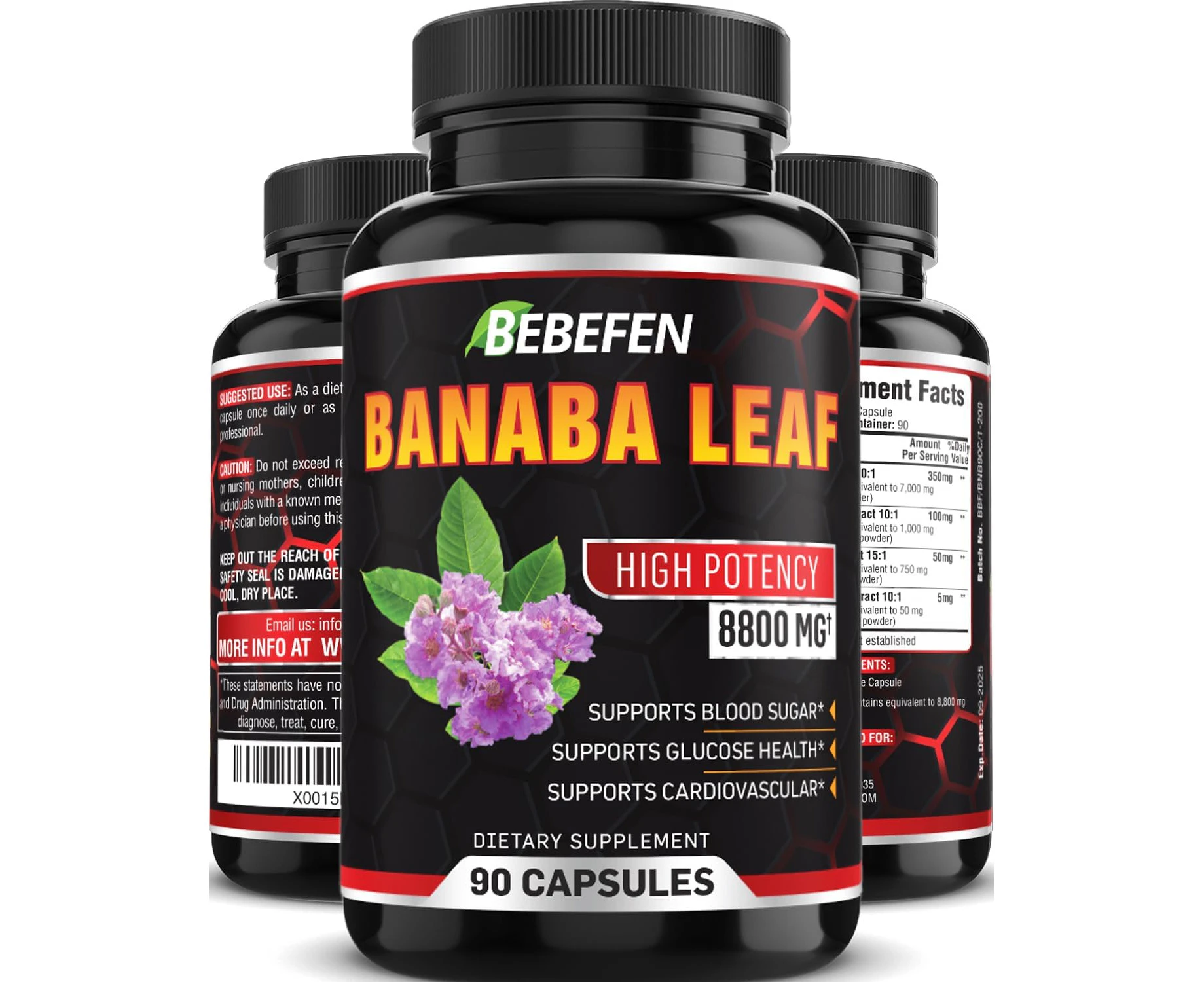 8800mg Banaba Leaf Extract Capsules - Blended with Bitter Melon, Berberine & Black Pepper - 90 Banaba Capsules for Antioxidants, Cardiovascular Health & Bl