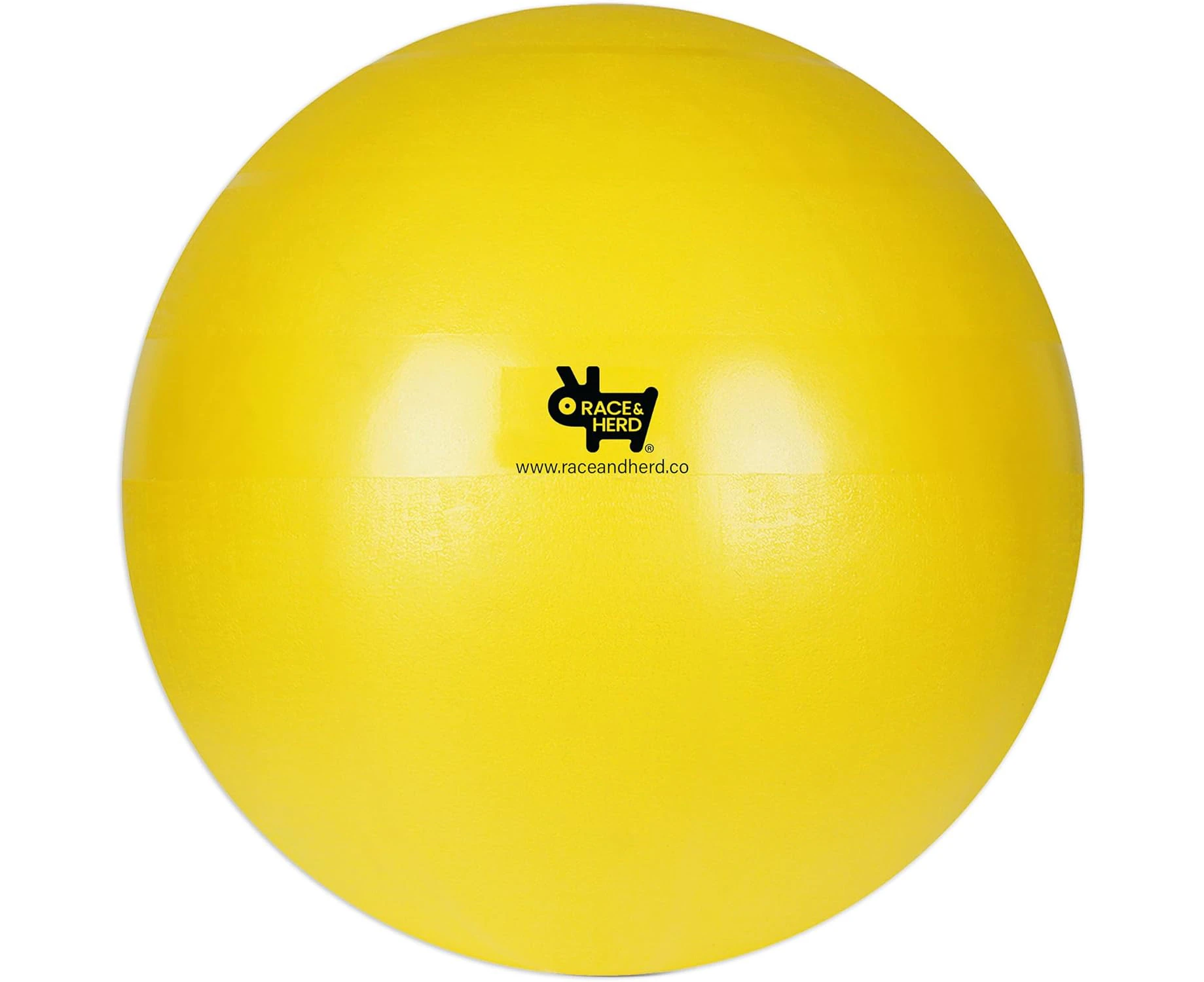 Race&Herd Herding Ball for Dogs Small & Puppies, Balls for Dogs, Dog Ball, Dog Toys, Hearding Ball, Herding Balls for Cattle Dogs, (18" Replacement Inner B