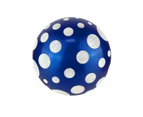 Giant Play Balls 30cm - Assorted*