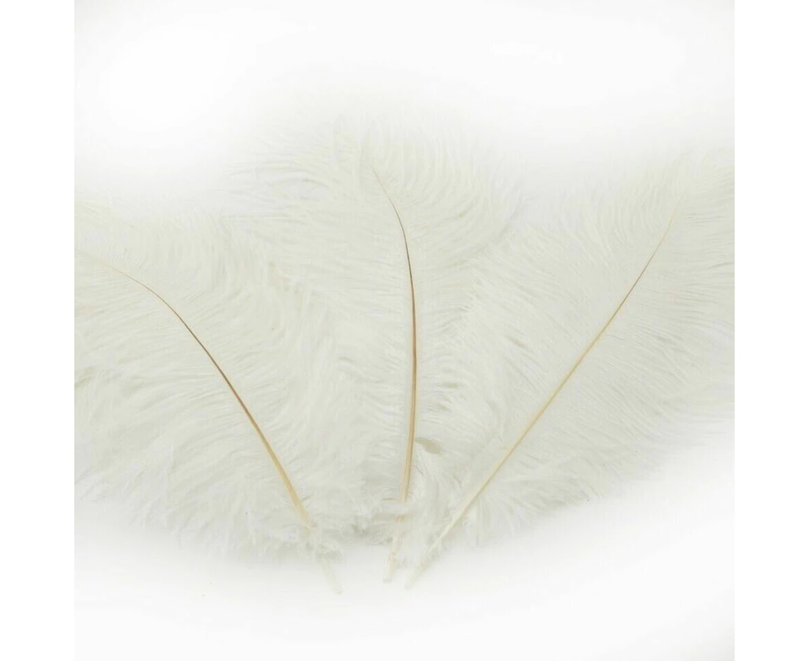 5pcs Ostrich Feather 25-30cm DIY Crafts Event Feathers Wedding Party Decor White