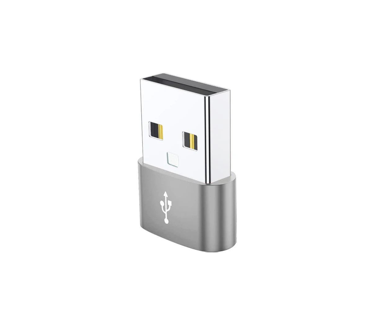 Type A Male to USB C Type C Female Charging Port Adapter Fast Converter USB Silver