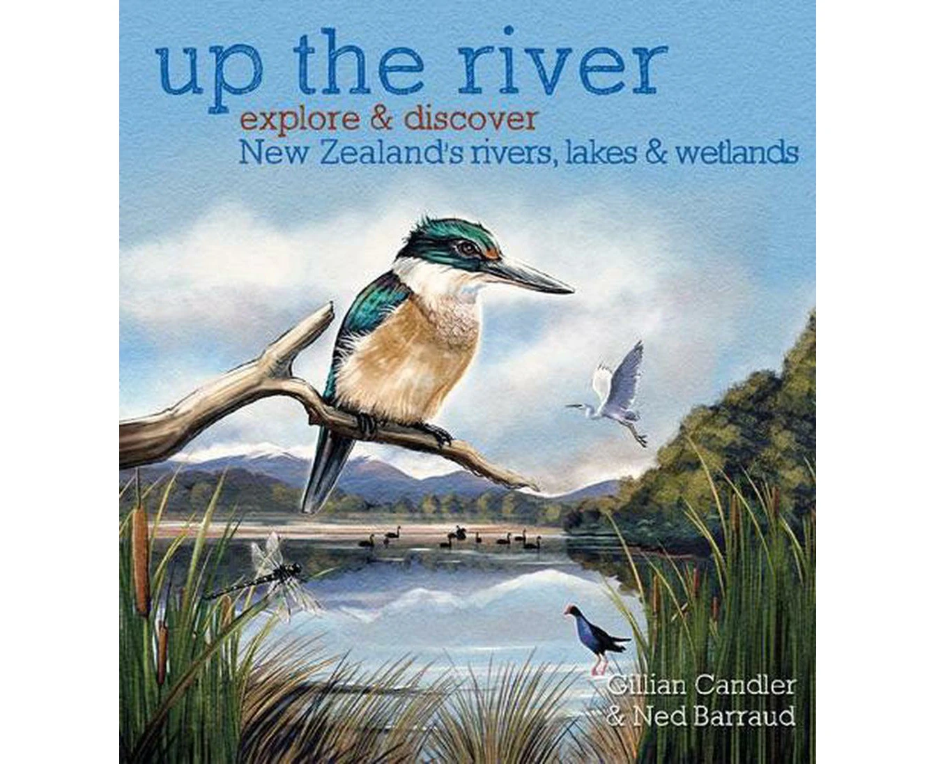 Up the River: Explore and discover New Zealand's rivers, lakes & wetlands PB