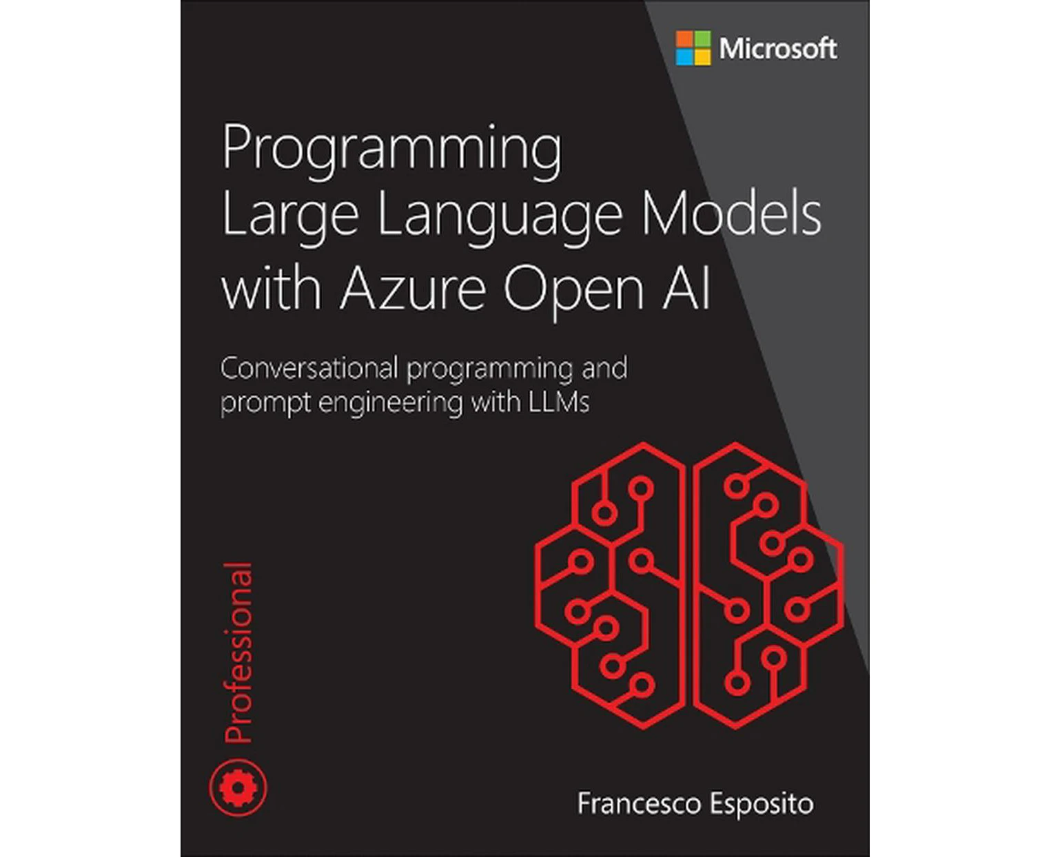 Programming Large Language Models with Azure Open AI