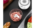 Usb Rechargeable Mini Food Processor Garlic Chopper - White