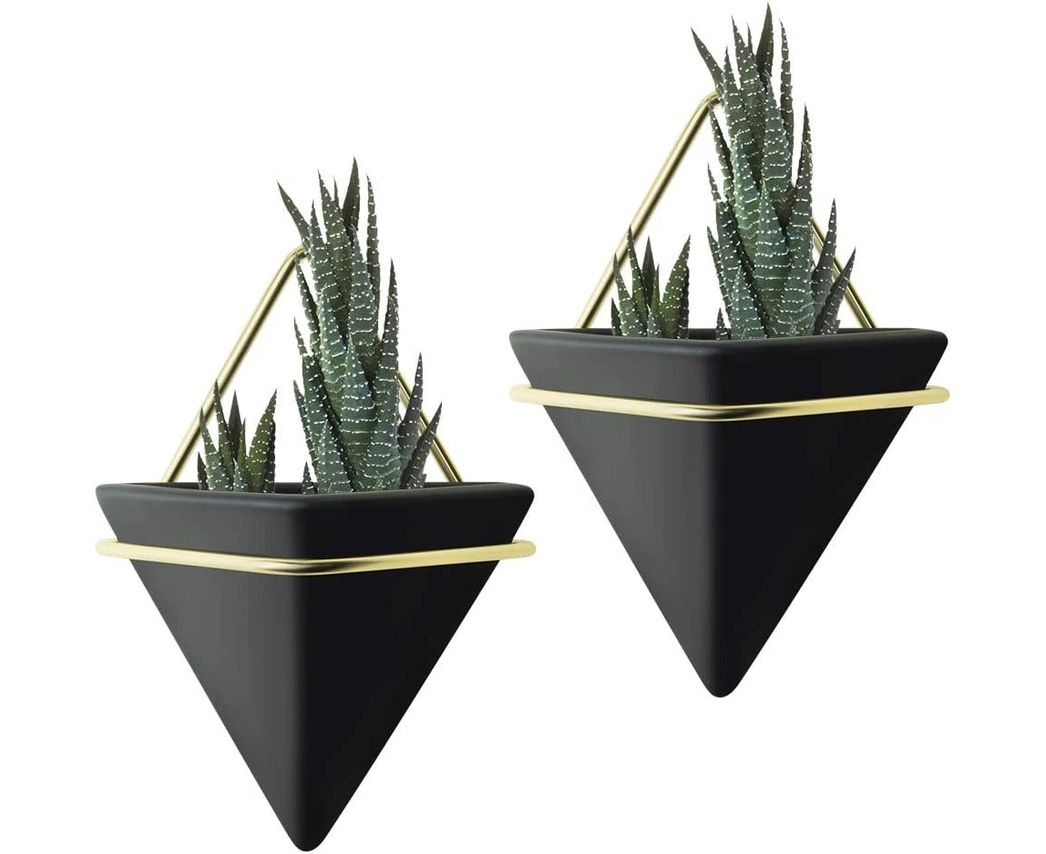 PUDDING CABIN 2 Pack Small Wall Succulent Planters Black Wall Decor Geometric Triangle Hanging Planters 4Inch Succulents Pots for Cactus, Air Plants, for M