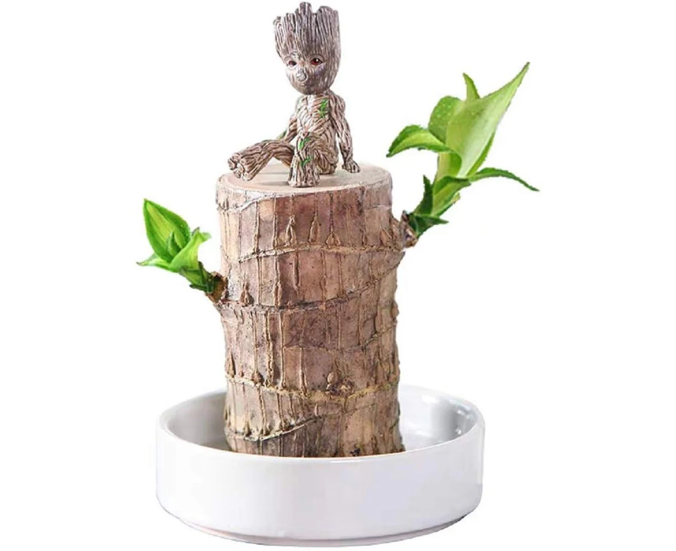 Brazil Wood Hydroponic Plants Groot Lucky Wood Potted Tree Stump Indoor Desktop Clean Air Plants Mini Decoration Tree Man