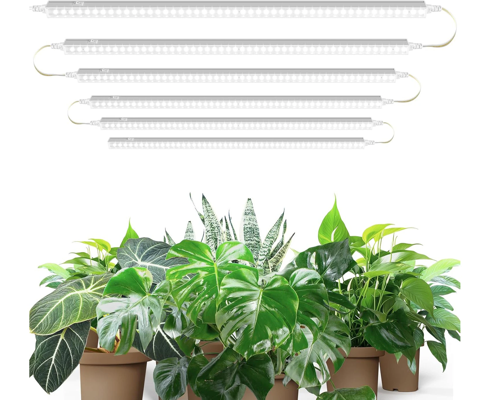 Barrina T5 Grow Lights, 5000K White Full Spectrum Plant Grow Lights for Indoor Plants, 2FT 60W (6 x 10W) LED Plant Light Strips with On/Off Switch, Plug an