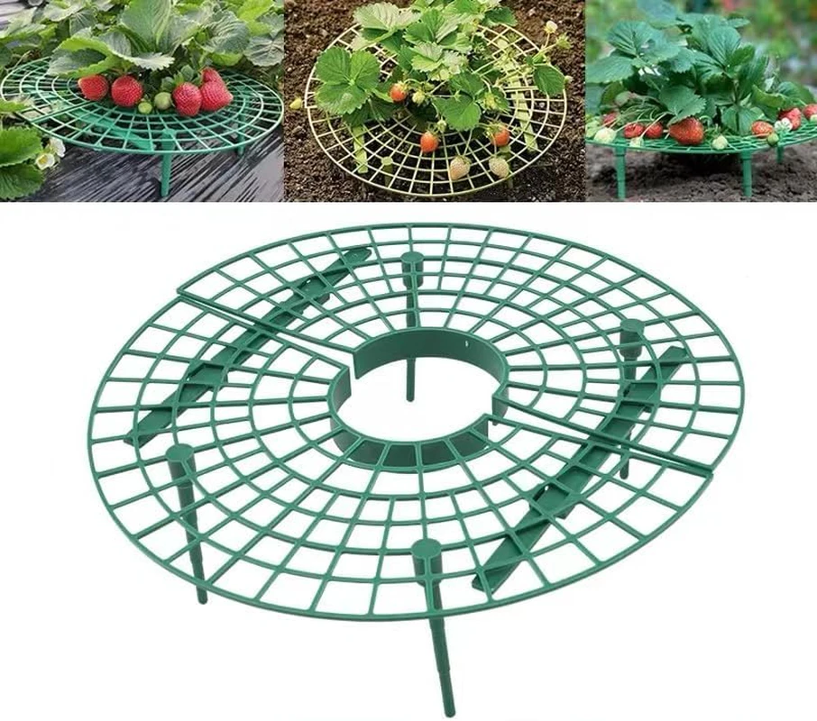 ZDY 3PCS Potted Plant Supports, Balcony Vegetable Rack, Strawberry Growing Frames, Vine Pillar Garden Stand, Plant Climbing Rack for Keeping Fruit Elevated