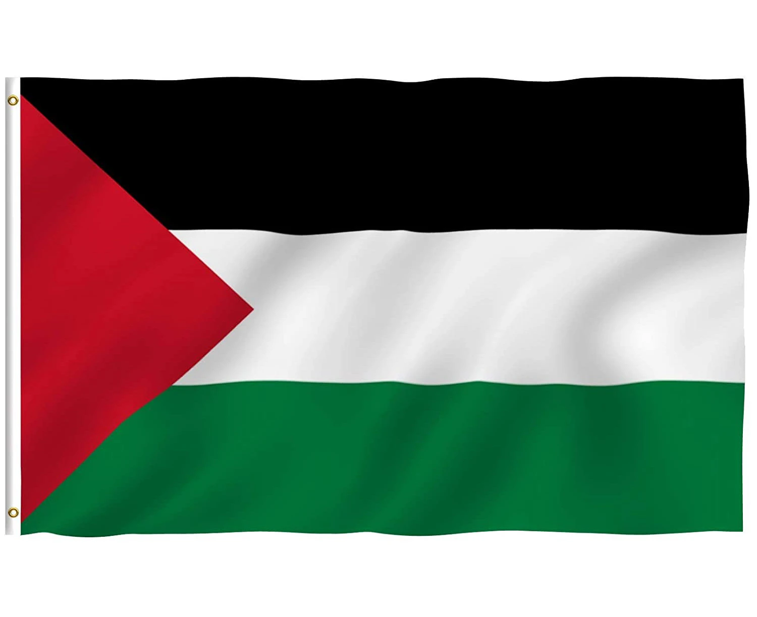 ANLEY Fly Breeze 3x5 Foot Palestine Flag - Vivid Color and UV Fade Resistant - Canvas Header and Double Stitched -Palestinian Flags Polyester with Brass Gr