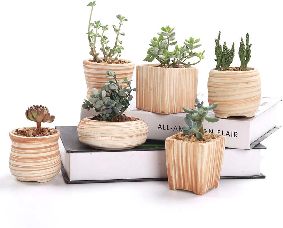 SUN-E 6In Set 3 Inch Ceramic Wooden Pattern Succulent Plant Pot/Cactus Plant Pot Flower Pot Container Planter Perfect Gife Idea