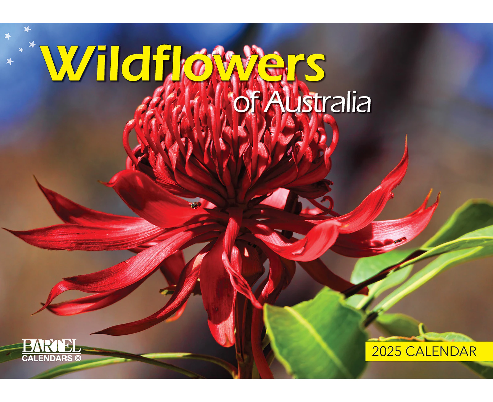 2025 Calendar Prestige Wildflowers of Australia Wall Bartel CA506