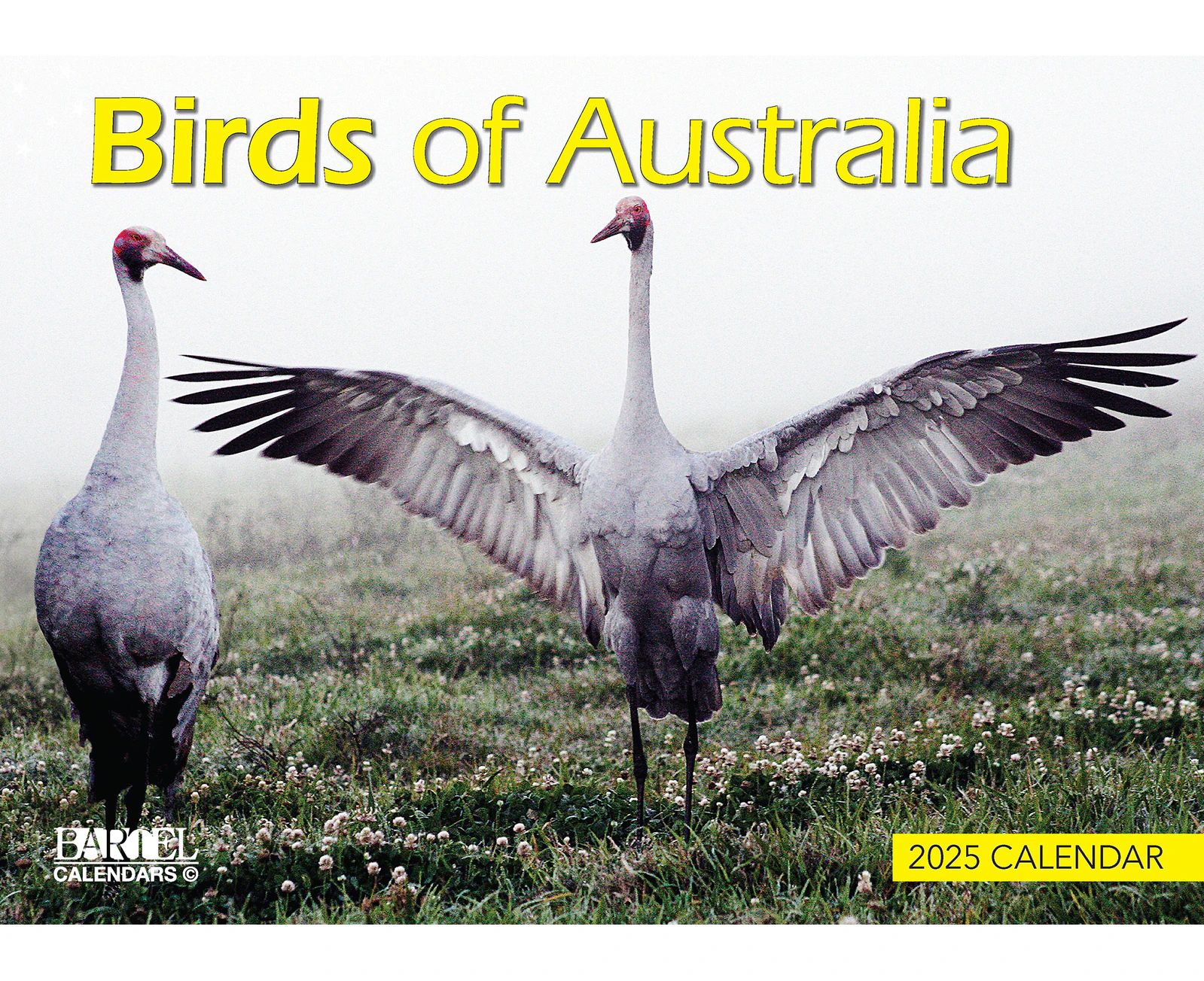 2025 Calendar Prestige Birds of Australia Wall Bartel CA507