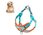 Pet Harness Leash Reflective Stripe Breathable Comfortable Adjustable Dog Vest Leash Set for Outdoor Walking Travel Lake Blue M