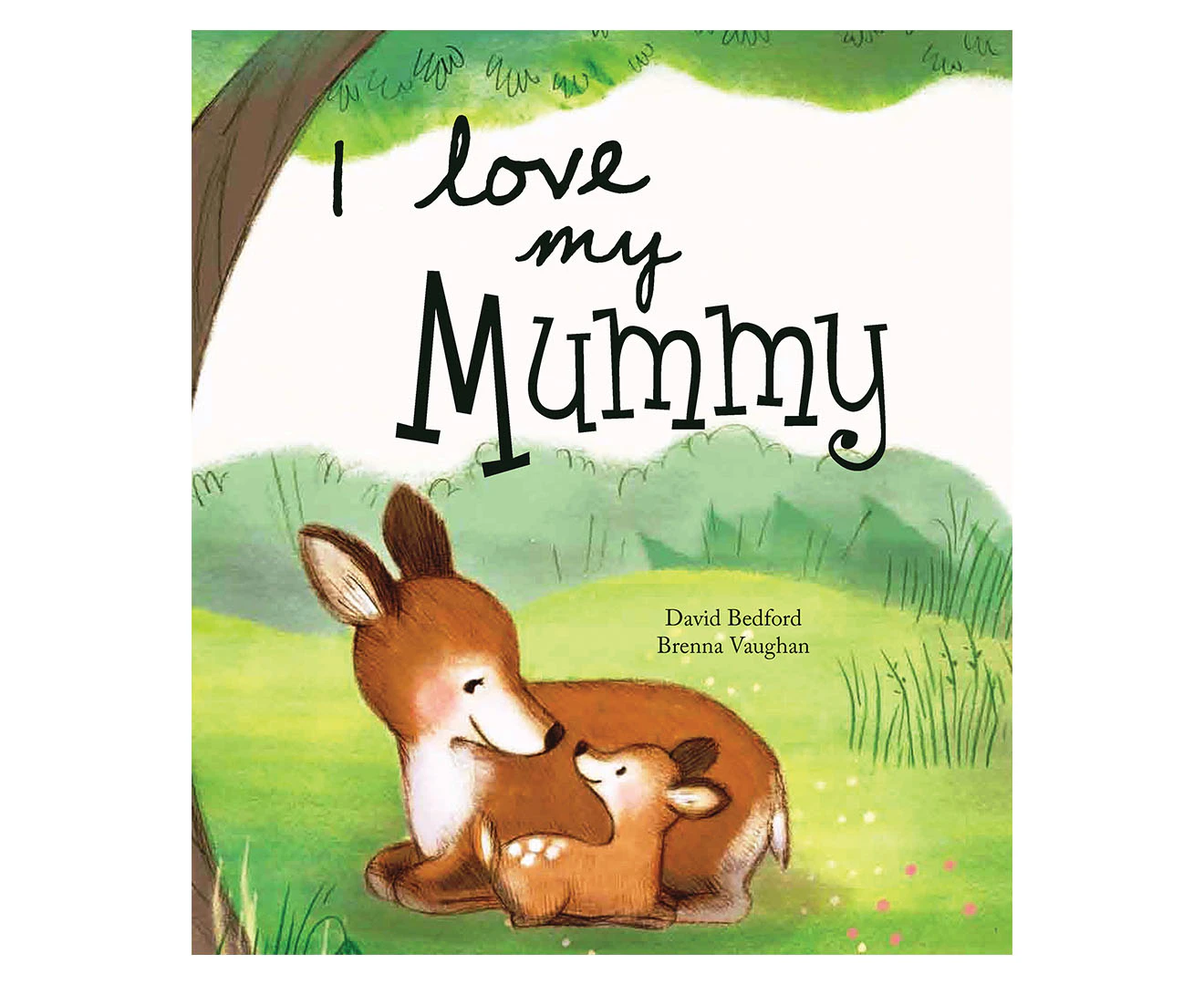 I Love My Mummy Picture Book by David Bedford