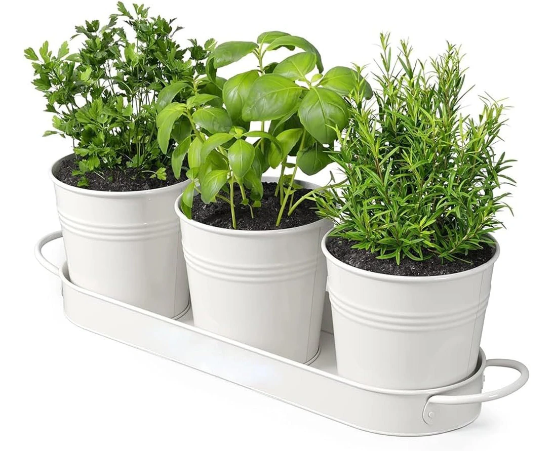 Herb Garden Planter Indoor Kit with Tray, Kitchen WindowSill Metal Plant Pots Countertop Gardening Planter herb pots for Outdoor or Indoor Plants (White)