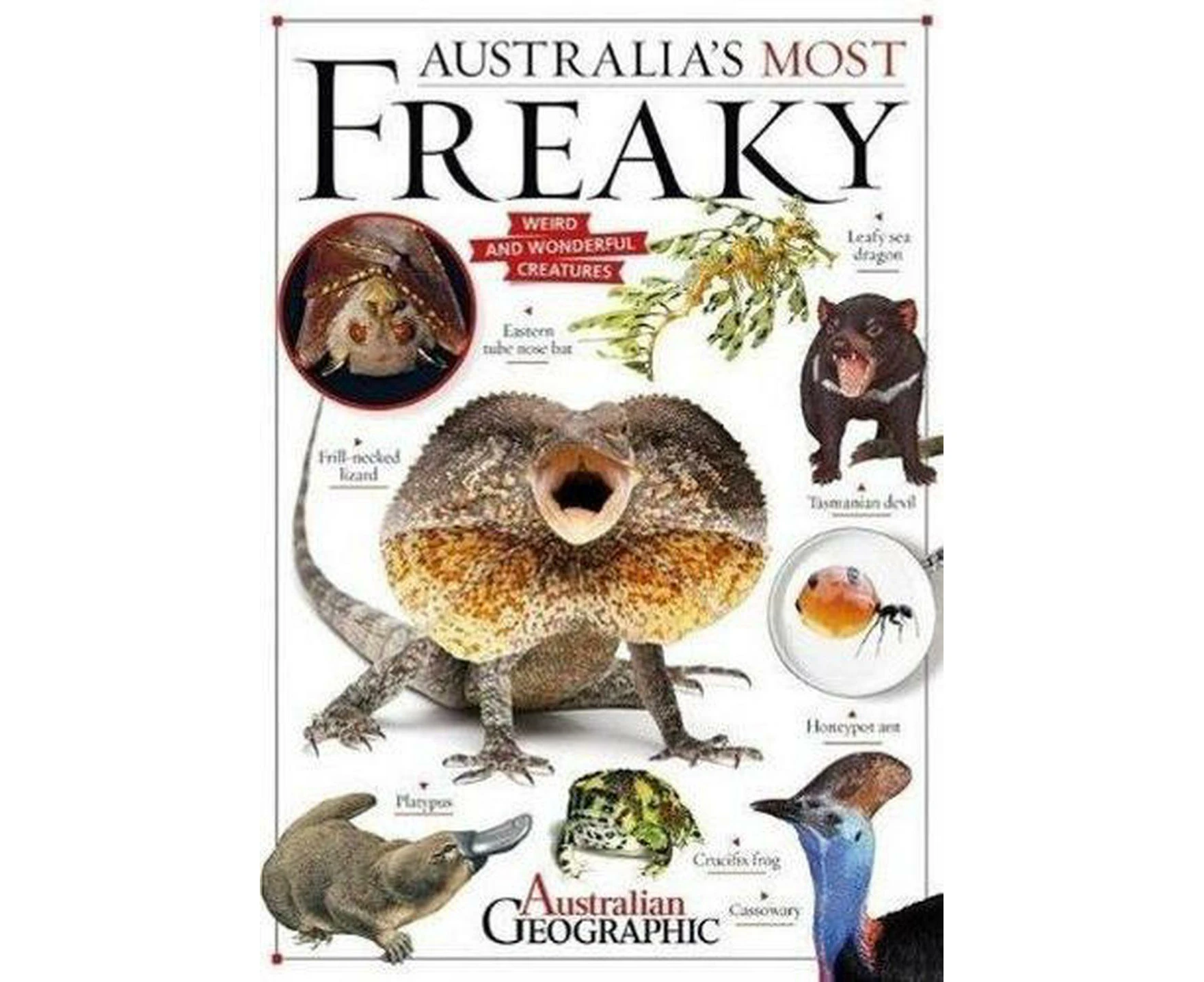 Australia's Most Freaky