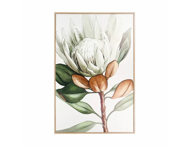 Protea Floral Framed Canvas - Anko