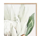 Protea Floral Framed Canvas - Anko