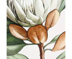 Protea Floral Framed Canvas - Anko