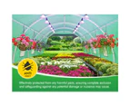 ALFORDSON Greenhouse Dome Shed Walk in Tunnel Plant Garden Storage Cover 6x4x2M