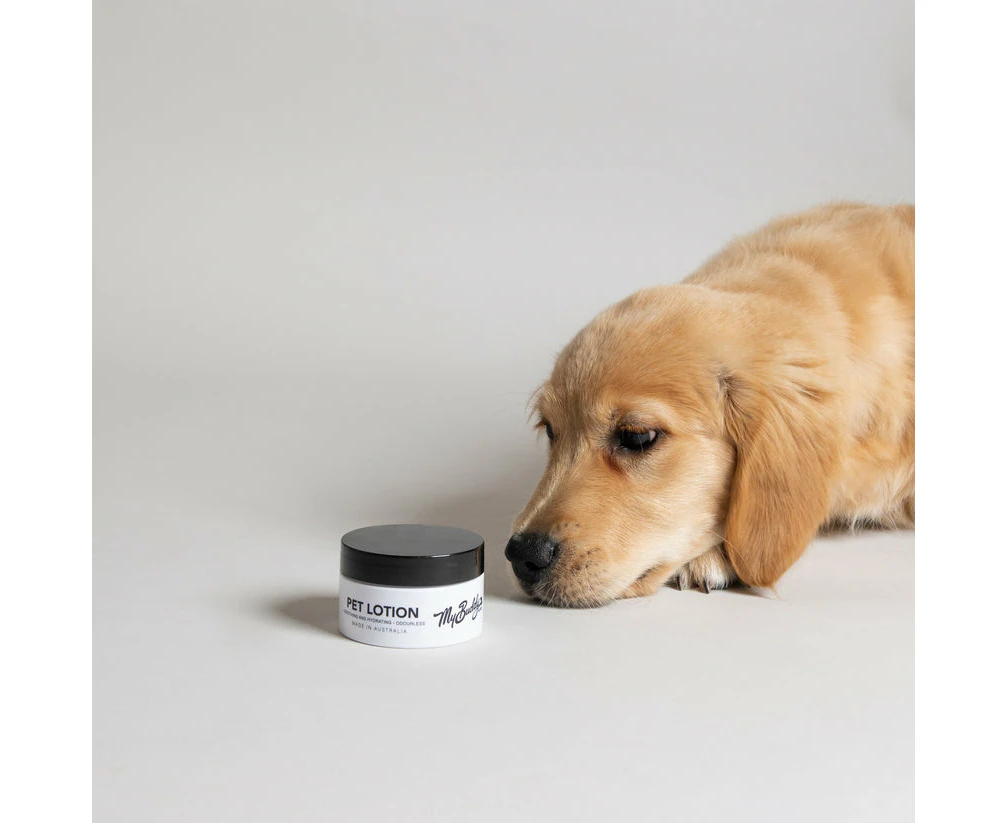 Skin Hydrating Pet Lotion