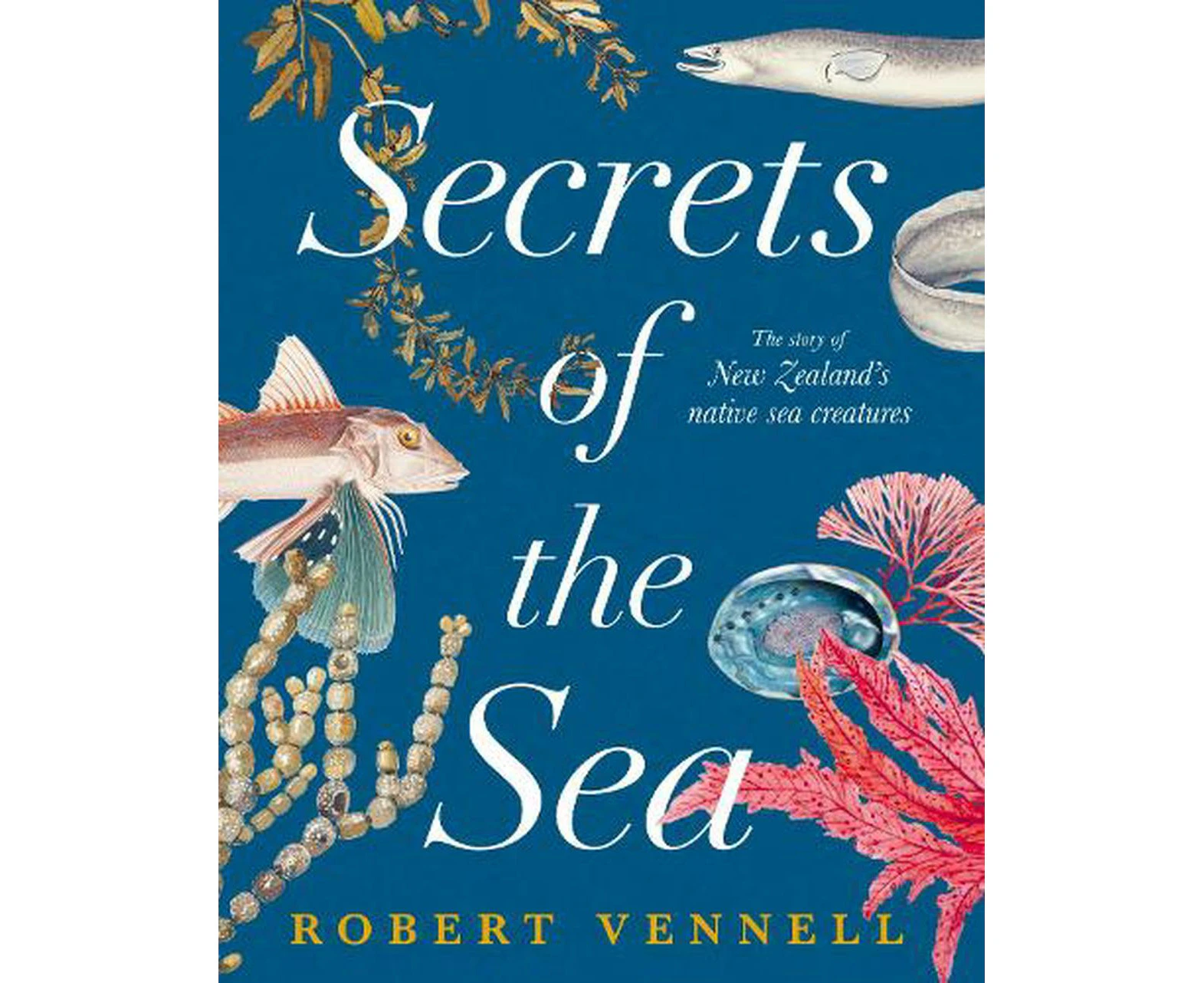 Secrets of the Sea