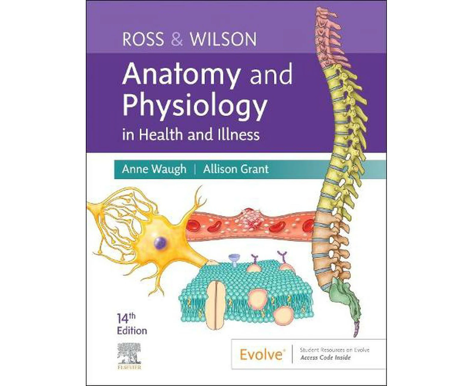 Ross & Wilson Anatomy and Physiology in Health and Illness