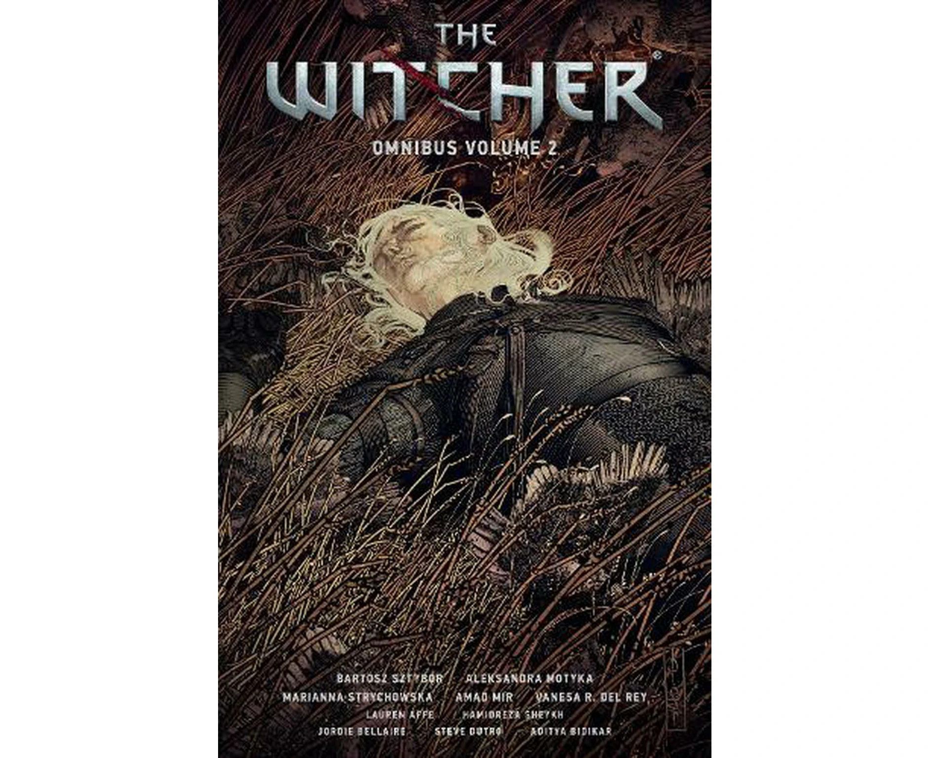 The Witcher Omnibus Volume 2