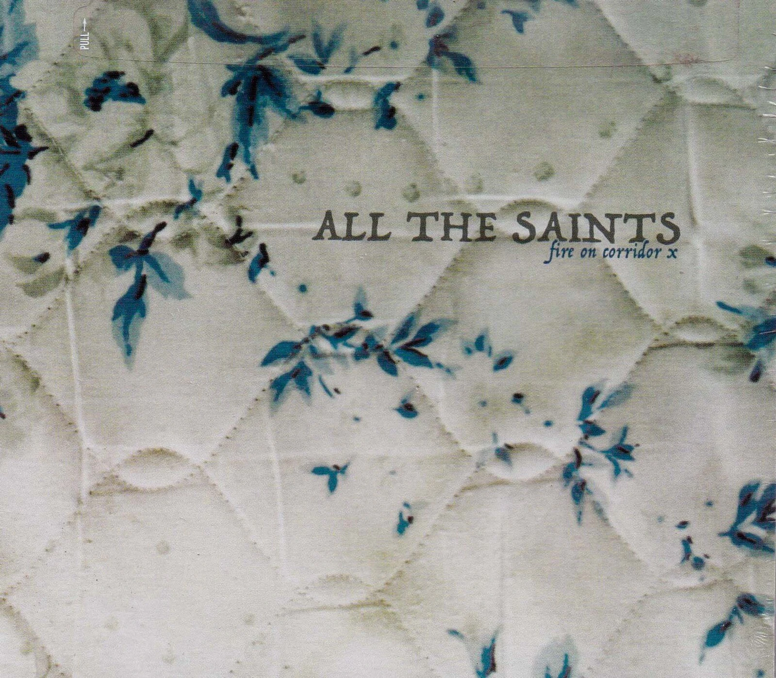 Fire On Corridor X -All The Saints CD