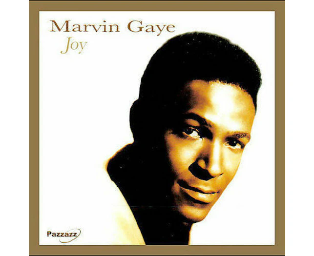 Marvin Gaye : Joy CD