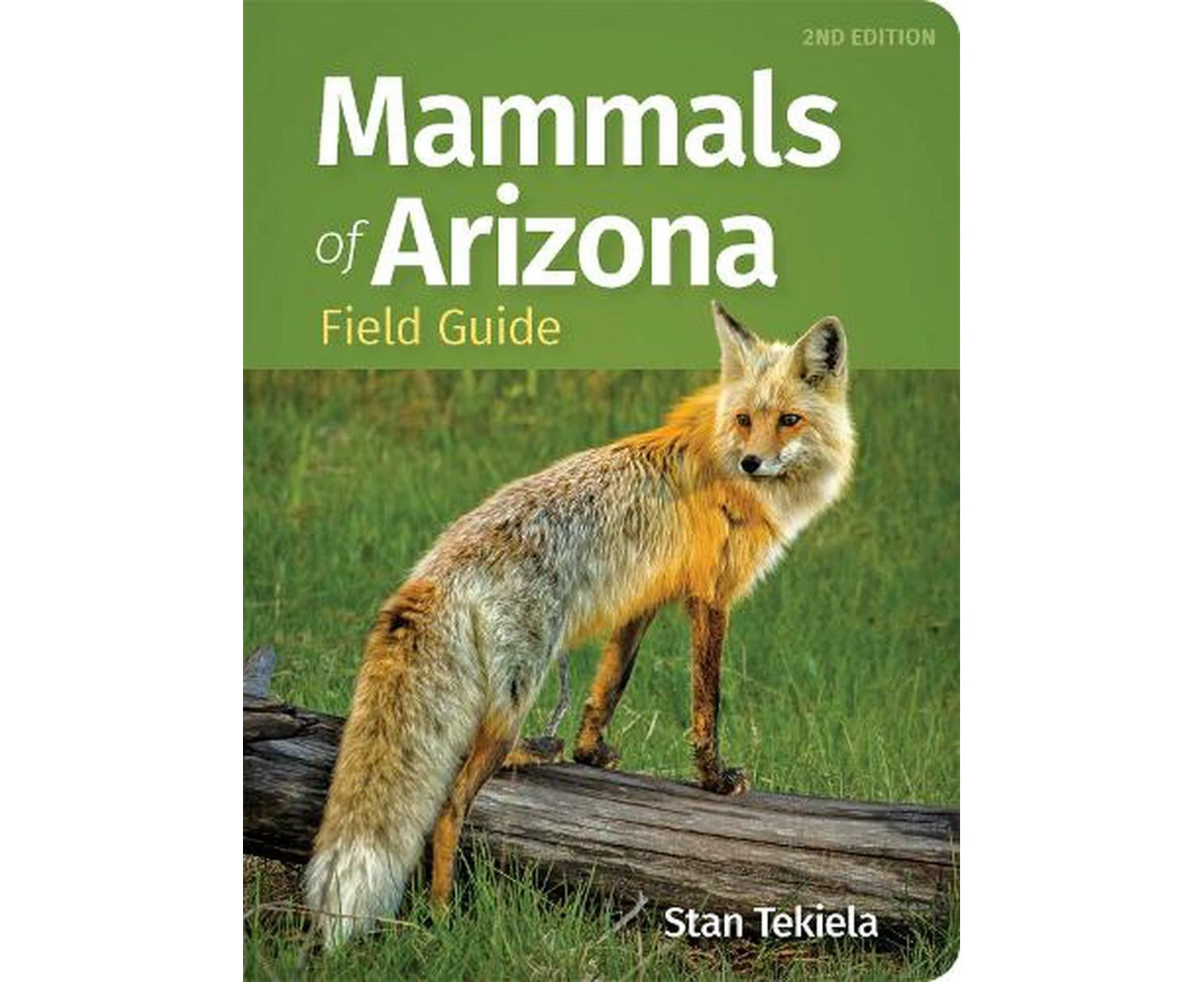 Mammals of Arizona Field Guide