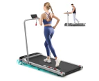 BLACK LORD Treadmill Electric Walking Pad Incline Black Foldable Silver w/ Smart Watch