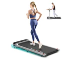 BLACK LORD Treadmill Electric Walking Pad Incline Silver w/ Smart Watch