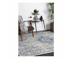 Delicate MeMontana Ivory & Blue Rug