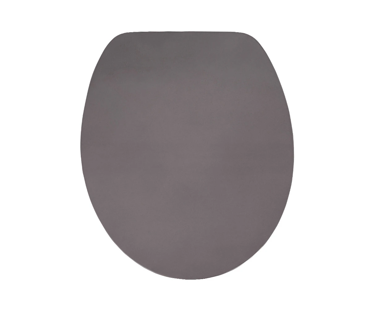 Silver Metallic Soft Close Toilet Seat