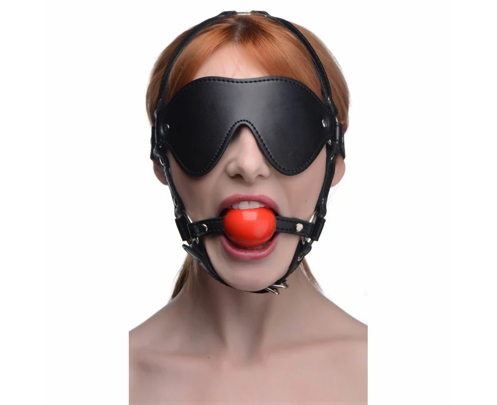 Blindfold Harness w Ball Gag