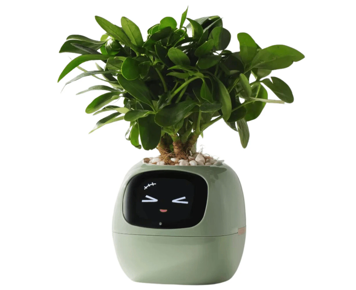 Smart Pots Ivy Planter in Light-Green color with 49 Expressions, 7 Sensors, AI Chip for Easy Plant Care