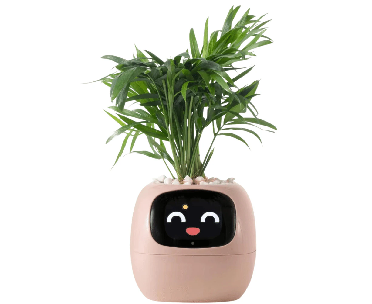 Smart Pots Ivy Planter in Light-Pink color with 49 Expressions, 7 Sensors, AI Chip for Easy Plant Care