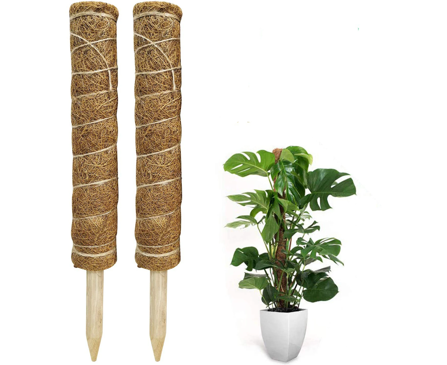 2pcs Moss Pole for Plants - 40cm Total Plant Poles for Monstera