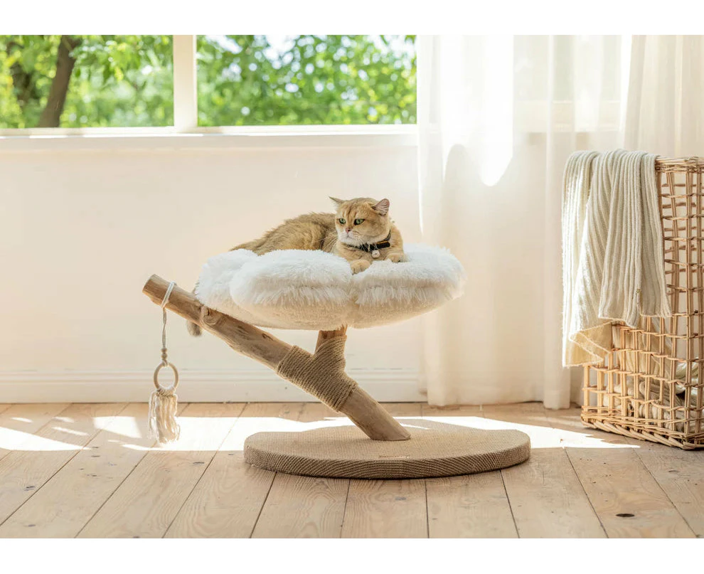 Purrista Natural Wood Cloud Cat Tree (Single-Layer)