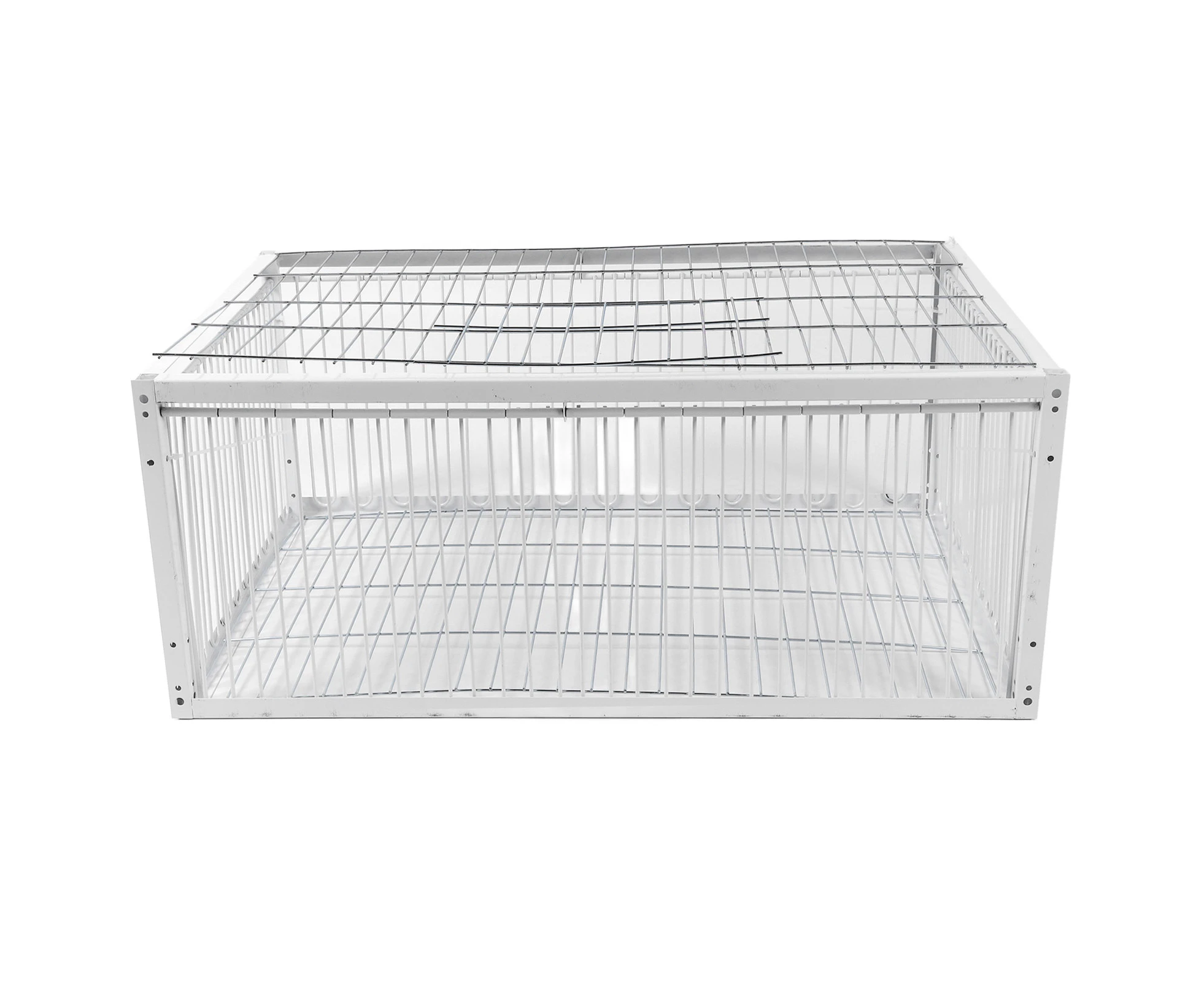 Bird Trap Cage Single Way Entry Sturdy Rust Resistant Versatile Portable Escape Proof Animal for Farm Garden Warehouses Garage Medium: 70 X 40 26cm