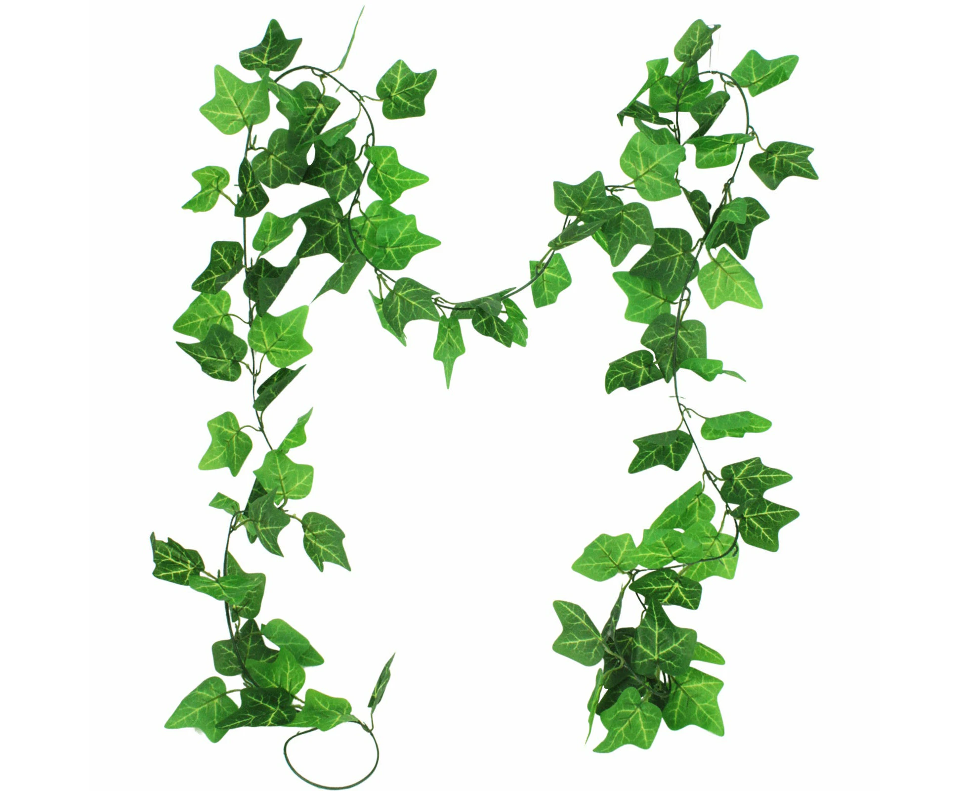 Ivy Leaf Vines (Pack of 5)