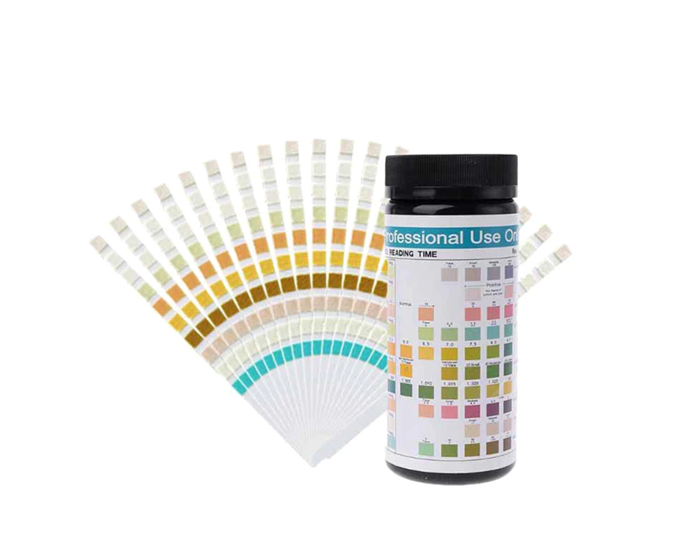 100 Strips Urine Test Strip 10 Parameters