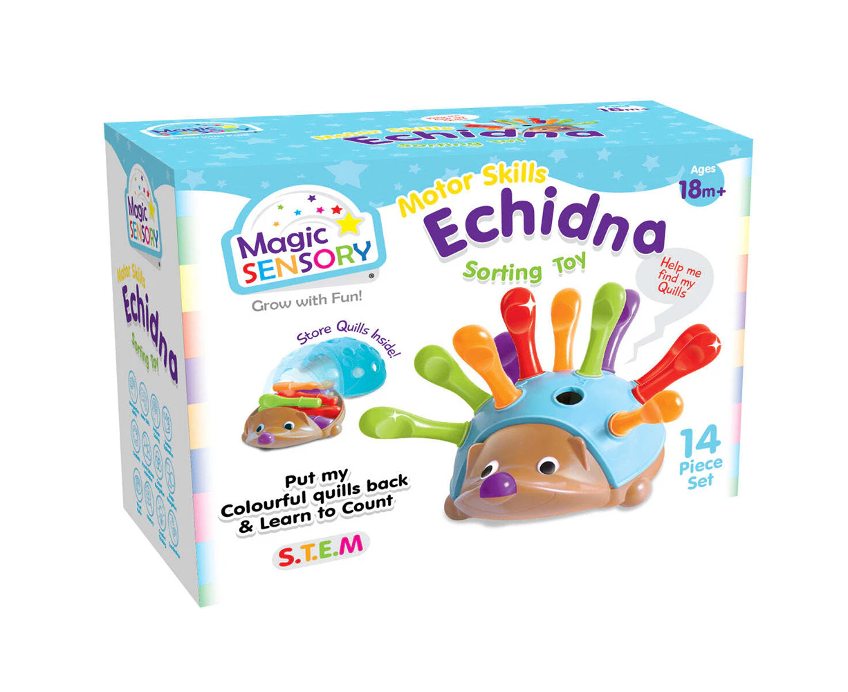 Magic Sensory Fine Motor Skills Kids/Toddler Shape Sorting Toy Echidna 18m+