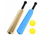 1 Set Children Cricket Set Outdoor Cricket Bat Portable Cricket Training Stick Plastic Bat For Cricket Sports Cricket Bat Retro Cricket Bat