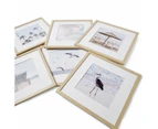 Gallery Frames - Set of 6, Oak Look