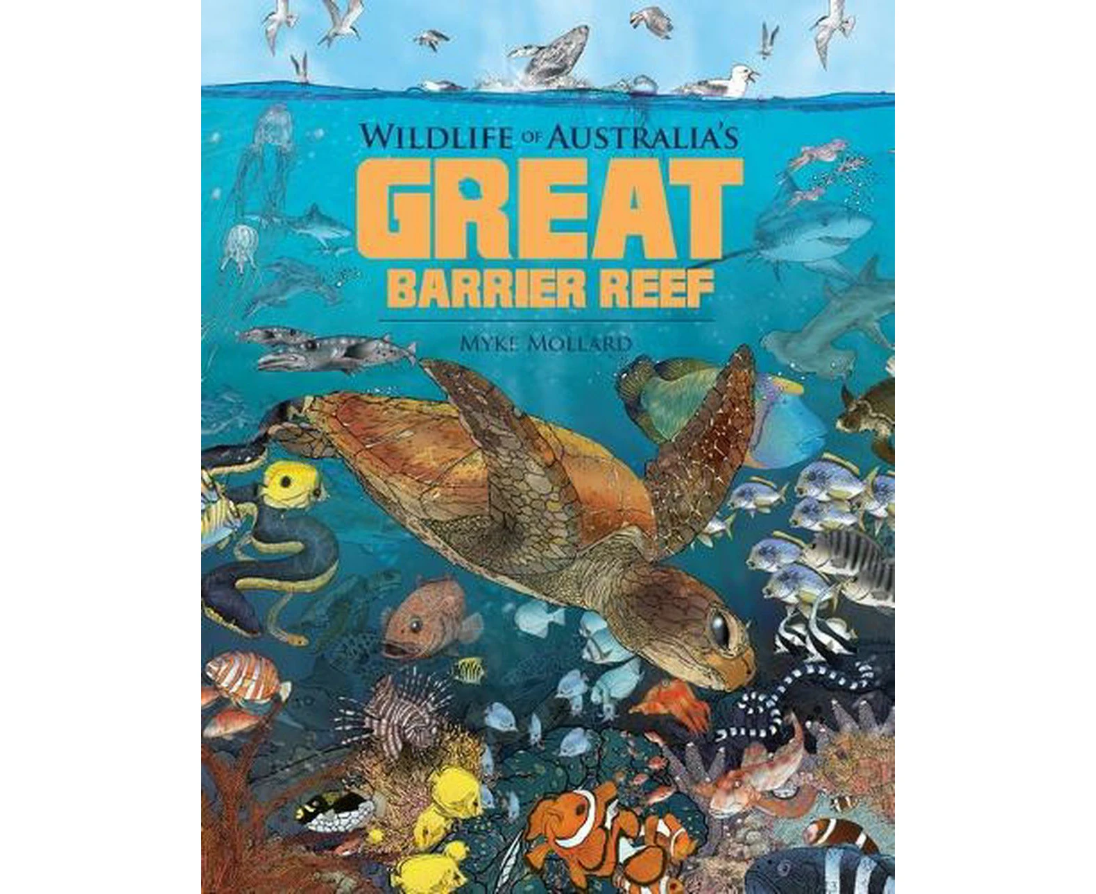 Wildlife of Australia's Great Barrier Reef