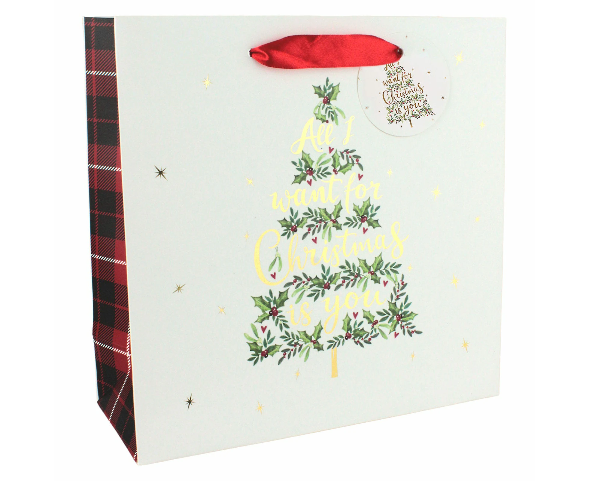 All I Want For Christmas Is You Christmas Paper Gift Bag 25cm